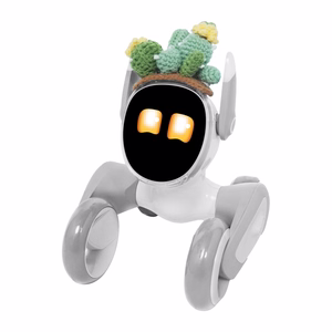 Megztas kostiumas Loona Premium – kaktusas