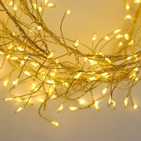 String Light GOLDEN TWIG CLF-03z 480LED cold baltas 3m + 5m Forever Light
