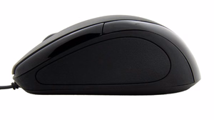 Esperanza EM102K mouse USB Type-A Optical 800 DPI