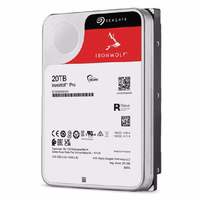 Seagate IronWolf Pro ST20000NT001 vidinis kietasis diskas 20 TB 7200 RPM 256 MB 3.5"