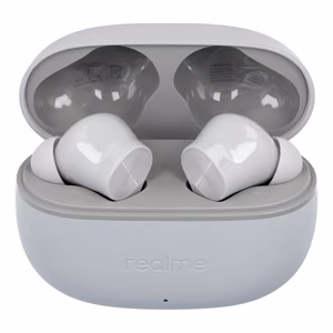 Wireless earphones Realme Buds T200 Lite storm grey
