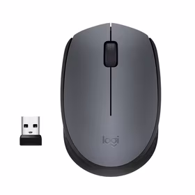 Logitech M170 Grey-K kompiuterio pelė Biuras Abiems rankoms Radijo dažnio belaidė Optinis 1000 DPI