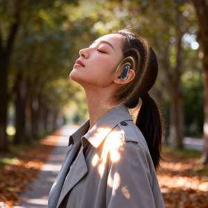 Dudao U17Z Bluetooth 5.3 OWS ausinės su ausų kabliukais - juodos