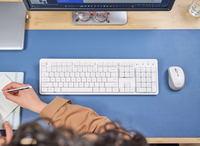 Trust Ody II belaidis komplektas (klaviatūra + pelė) baltas US