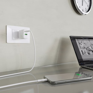 Puro PROLITE 25W USB-A / USB-C sieninis įkroviklis + USB-C - USB-C kabelis 1.2m - baltas
