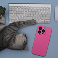 Silikoninis dėklas 2mm IPHONE 17 Pro Max suderinamas su Magnetine rožinė