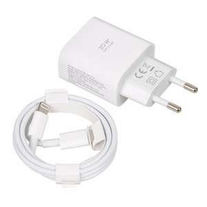 Sieninis įkroviklis iBOX C-37 GaN PD20W, baltas