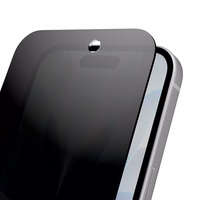 Puro privatumo grūdinto stiklo apsauginis stiklas iPhone 17 / iPhone 17 Pro / iPhone 16