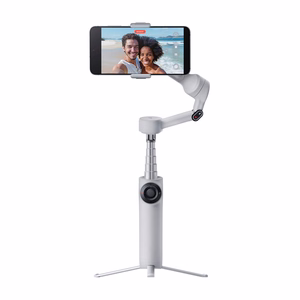 Insta360 Flow 2, серый (HU)