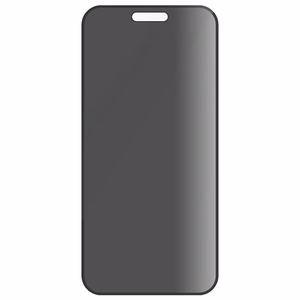 PanzerGlass privatumo apsauginis stiklas iPhone 16 Pro Max 6.9" itin platus P2864
