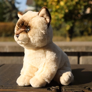 Rappa Soft Collection ekologiškas tikroviškas pliušinis žaislas – sėdinti Ragdoll katė, 23 cm