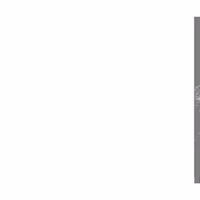 PanzerGlass ClearCase dėklas telefonui Samsung Galaxy S20 Ultra - skaidrus