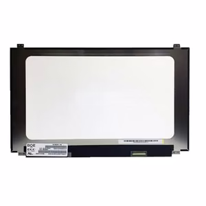 Ekranas 15.6", 3840x2160, 60Hz, matinis, 40pin, dešinėje, IPS