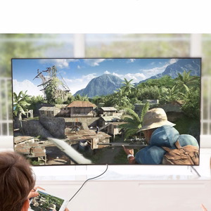 Ugreen HD127 Micro HDMI - HDMI laidas 3m - juodas