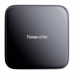 TIMEKETTLE W4 Pro vertimo ausinės