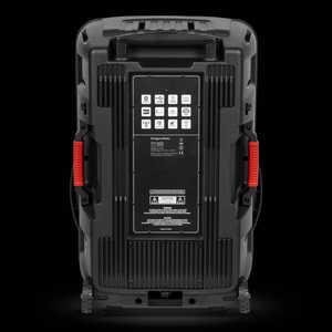 60 W aktyvioji kolonėlė su 2 belaidžiais UHF mikrofonais, SD, Bluetooth, FM, USB ir LED