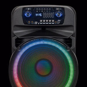 60 W aktyvioji kolonėlė su 2 belaidžiais UHF mikrofonais, SD, Bluetooth, FM, USB ir LED