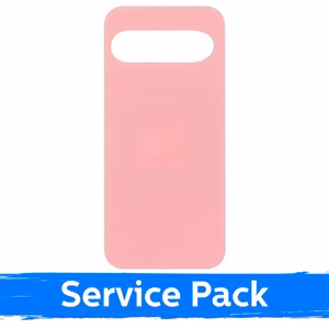 Galinis dangtelis skirtas Google Pixel 9 / Peony / (Service Pack)