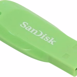 Atmintinė Flash USB2 32GB/SDCZ50C-032G-B35GE Sandisk