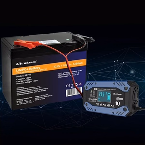 Qoltec 52482 зарядное устройство для автомобильного аккумулятора 12/24 V черный, синий