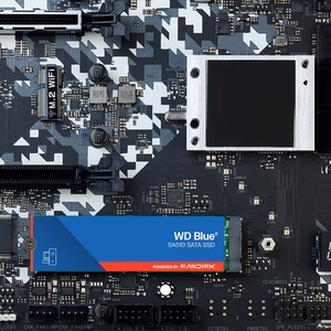 SanDisk Blue WD SA510 250 GB M.2 „Serial ATA III“