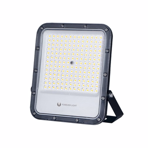 LED prožektorius PROXIM+ 100W 6500K 15000lm 230V IP65 Forever Light 150lm/W, 5 metų garantija