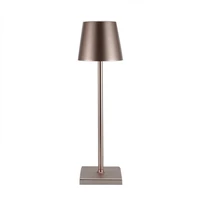 Night lamp WDL-02 wireless brown