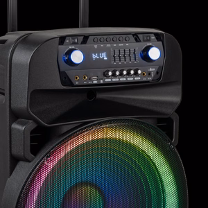 60 W aktyvioji kolonėlė su 2 belaidžiais UHF mikrofonais, SD, Bluetooth, FM, USB ir LED