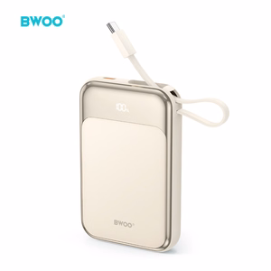 BWOO PD 20W 10000 mAh Išorinė baterija With Usb-c Laidas and Ekranas P80 auksinis