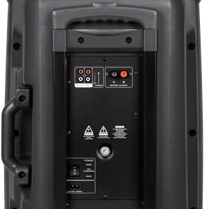Aktyvi garso kolonėlė su 2 belaidžiais UHF mikrofonais, SD, Bluetooth, FM, USB, 60 W