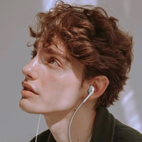 Dudao X3C įstatomos laidinės USB-C ausinės 1.2m - baltos