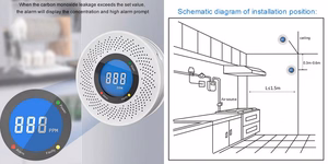 Smalkių (CO) detektorius