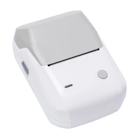 Niimbot B1 Mobile Thermal Label Printer Gray