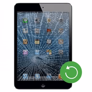 Apple iPad Mini 4 / REFURB Service /