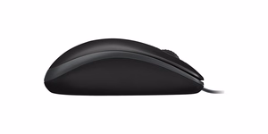 Logitech Desktop MK120 klaviatūros ir pelės rinkinys