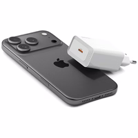 Tinklo įkroviklis USAMS T69 30W USB-C baltas