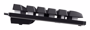 Trust GXT 833 Thado TKL žaidimų klaviatūra USB QWERTY US English juodas