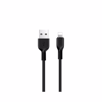 Kabelis USB-A į Lightning Hoco 2,4A 1 m X20 juodas
