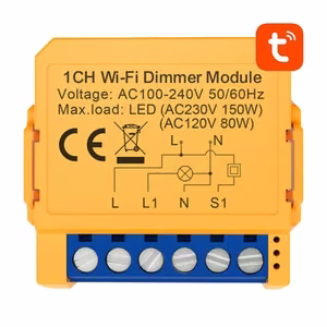 Умная розетка-выключатель WiFi Avatto DMS16-2 TUYA