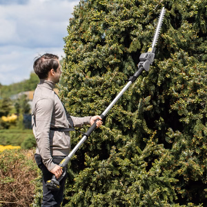 Rebel 2-in-1 cordless telescopic hedge trimmer and saw