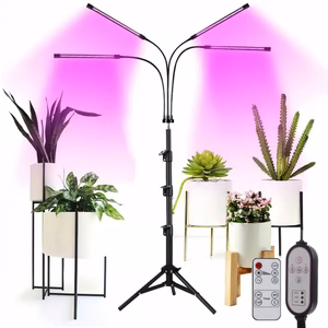 LED lempa augalų auginimui Reach 4X