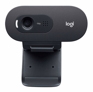 Logitech C505 internetinė kamera 1280 x 720 px USB juoda