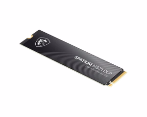 SSD diskas MSI SPATIUM M571 DLP 2TB PCIe 5.0 NVMe M.2 skaitymo 14500 MB/s rašymo 11000 MB/s
