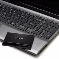 PNY CS900 250 GB 2.5" „Serial ATA III“ 3D TLC