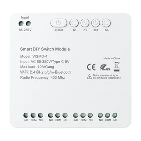 DIY Avatto WSMD-4 250V smart switch module