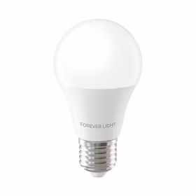 Forever Light LED Bulb E27 A55 4W 480lm 4000K class E