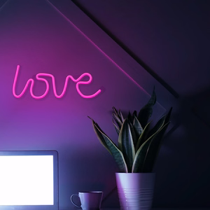 Neon LED Light LOVE rožinis Bat + USB FLNE05 Forever Light