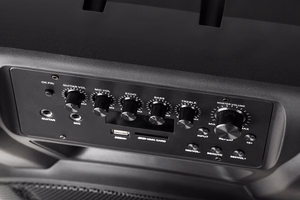 Aktyvi garso kolonėlė su 2 belaidžiais UHF mikrofonais, SD, Bluetooth, FM, USB, 60 W