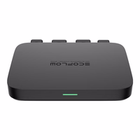 EcoFlow generatoriaus įkroviklis 500W