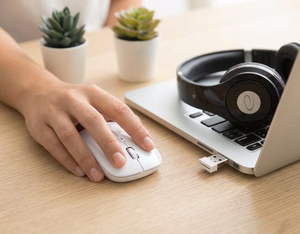 Esperanza EM120W mouse RF Wireless Optical 2400 DPI